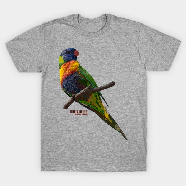 Rainbow Lorikeet_02C T-Shirt by seadogprints